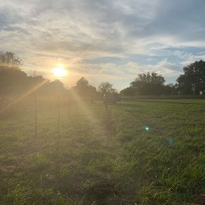 Meet your Posher, Brooke